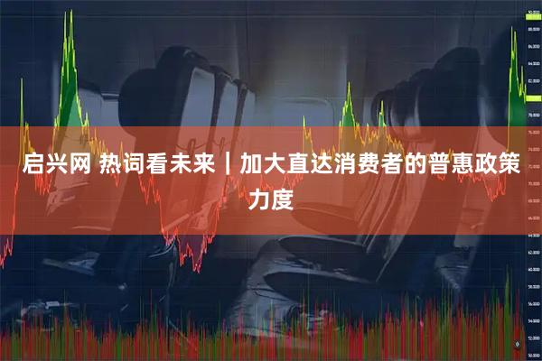 启兴网 热词看未来｜加大直达消费者的普惠政策力度