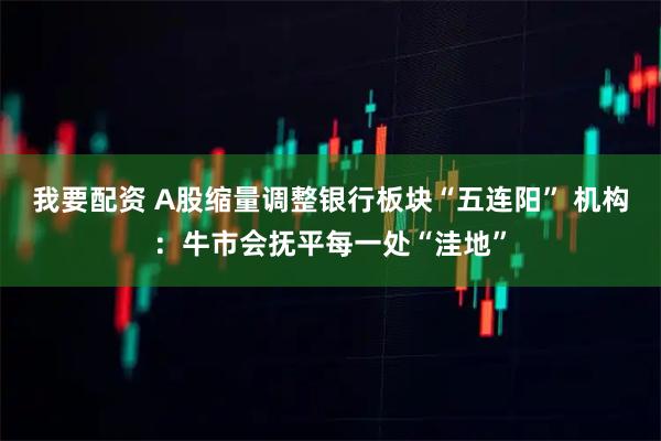 我要配资 A股缩量调整银行板块“五连阳” 机构：牛市会抚平每一处“洼地”