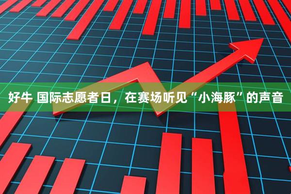 好牛 国际志愿者日，在赛场听见“小海豚”的声音