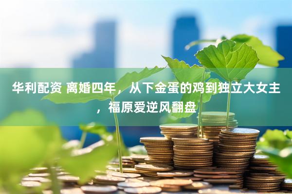 华利配资 离婚四年，从下金蛋的鸡到独立大女主，福原爱逆风翻盘