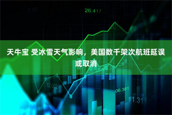天牛宝 受冰雪天气影响，美国数千架次航班延误或取消