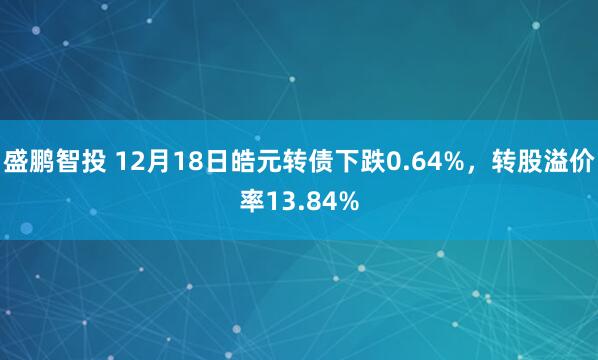 盛鹏智投 12月18日皓元转债下跌0.64%，转股溢价率13.84%
